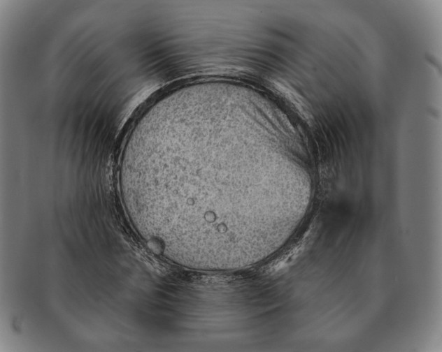 X0000091230875200708301513