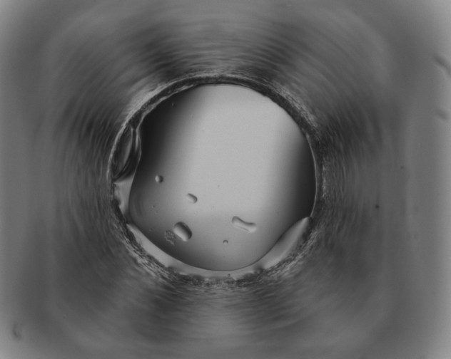 X0000091230876200708301513