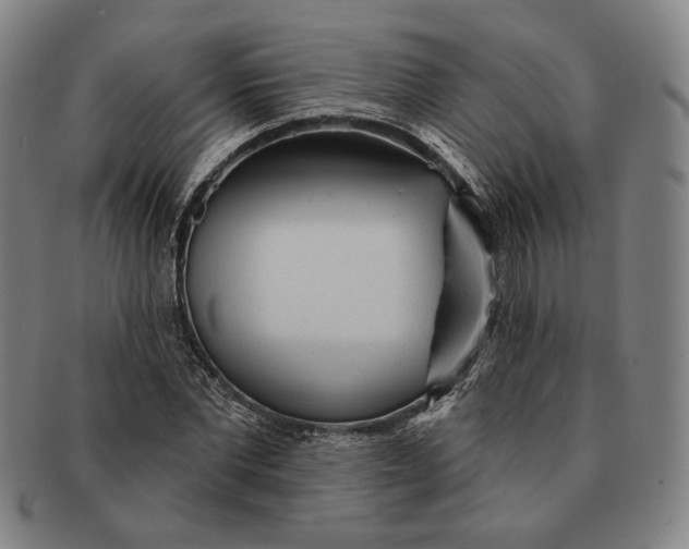 X0000091230877200708301513