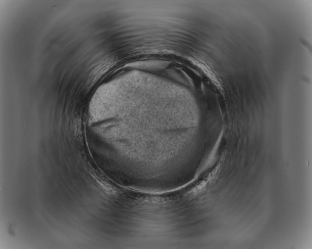 X0000091230881200708301513