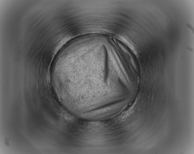 X0000091230883200708301513