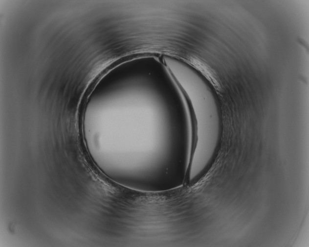 X0000091230884200708301513