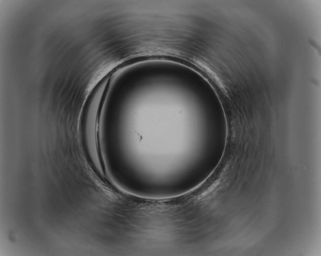 X0000091230885200708301513