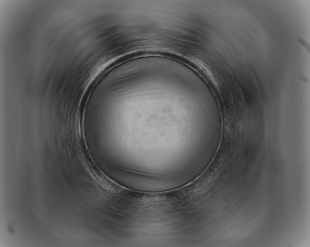 X0000091230887200708301513