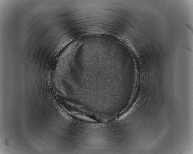 X0000091230889200708301513