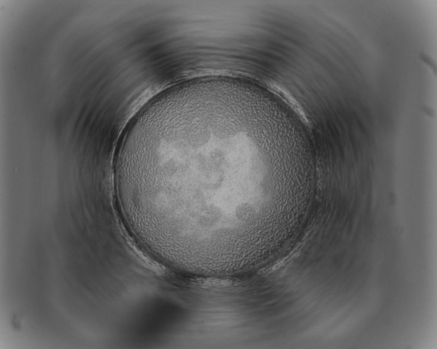 X0000091230890200708301513