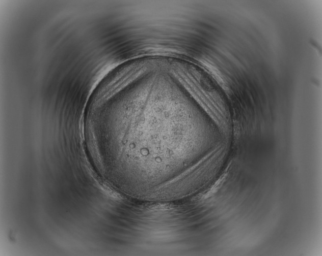 X0000091230891200708301513