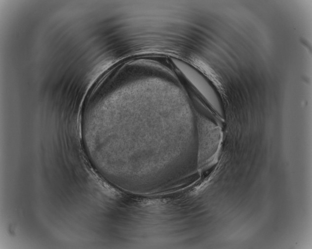 X0000091230892200708301513