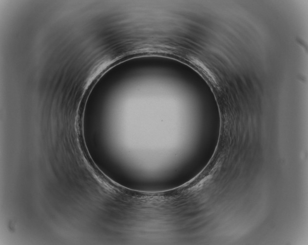 X0000091230893200708301513