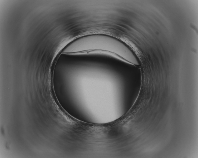 X0000091230894200708301513