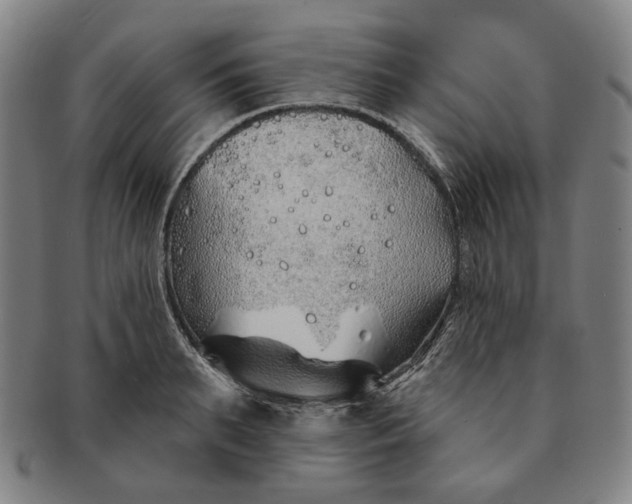 X0000091230895200708301513