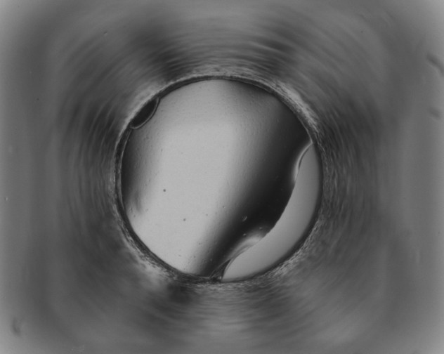 X0000091230896200708301513
