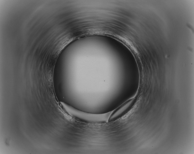 X0000091230897200708301513