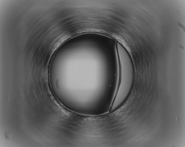 X0000091230898200708301513