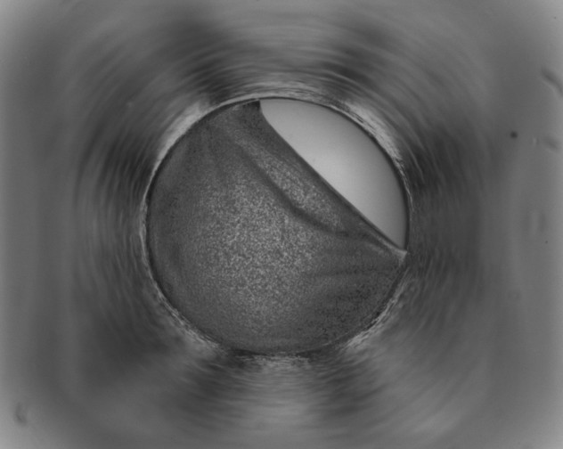 X0000091230899200708301513