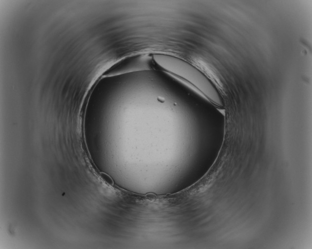 X0000091230900200708301513