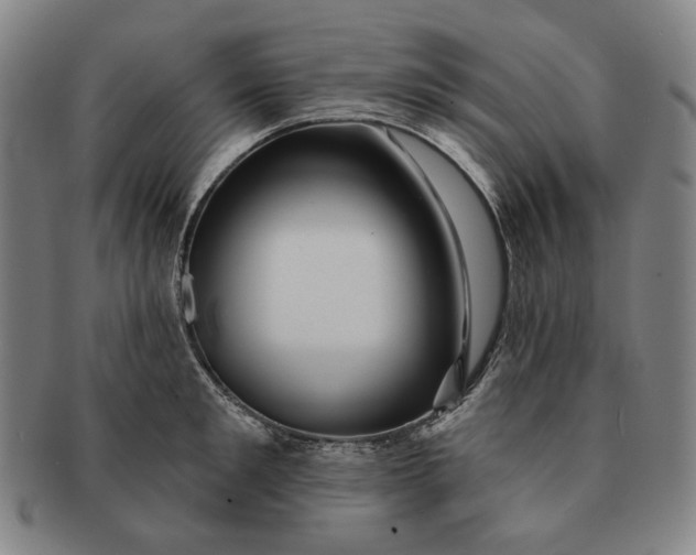 X0000091230901200708301513