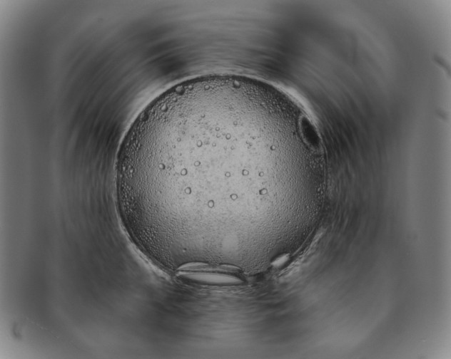 X0000091230903200708301513