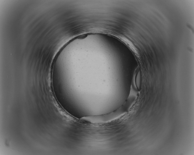 X0000091230904200708301513