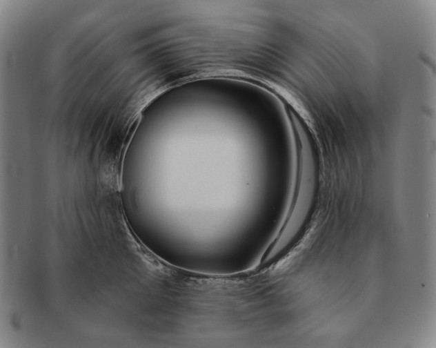X0000091230905200708301513