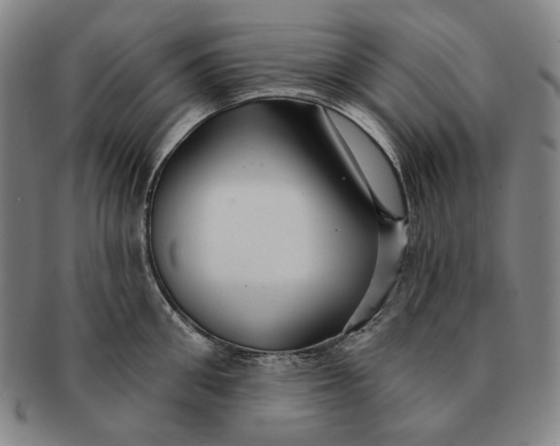 X0000091230906200708301513