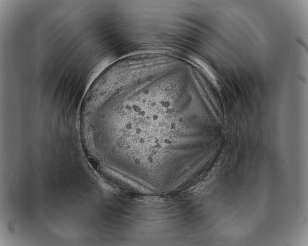 X0000091230907200708301513