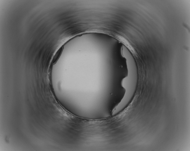 X0000091230908200708301513