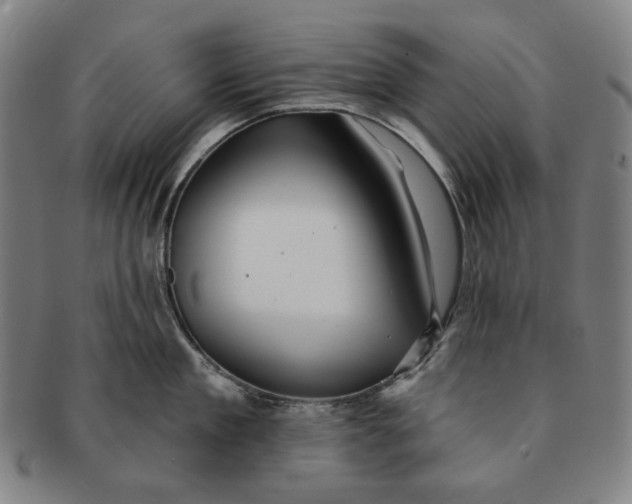 X0000091230909200708301513