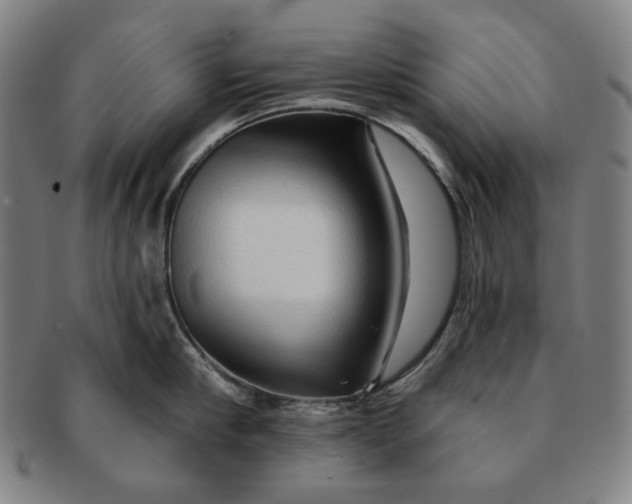 X0000091230910200708301513