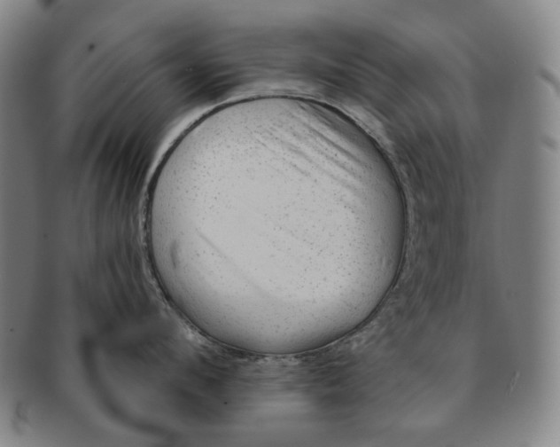 X0000091230912200708301513