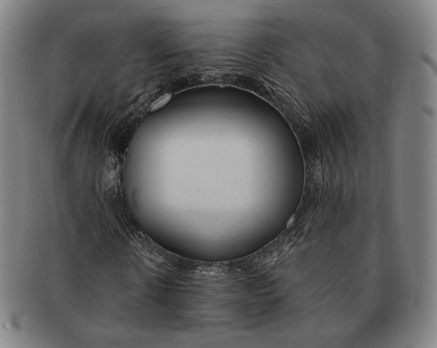 X0000091230914200708301512