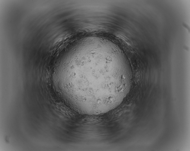 X0000091230917200708301512