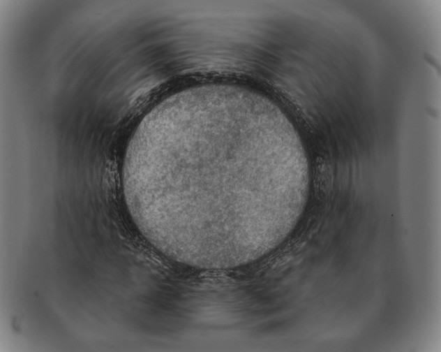 X0000091230918200708301512