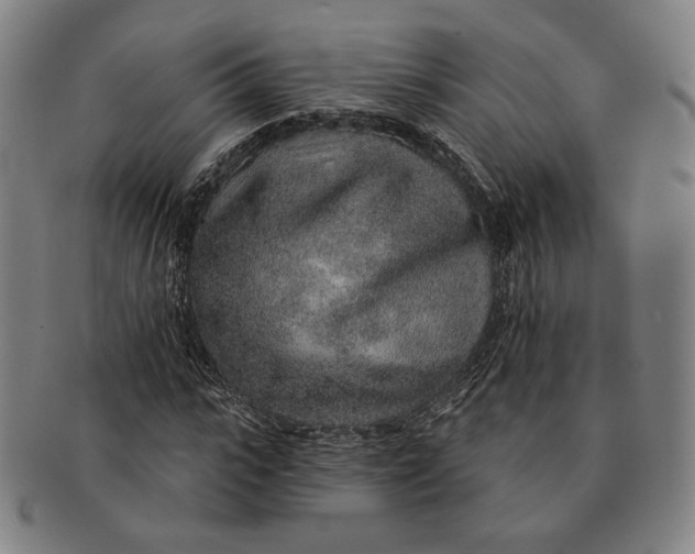 X0000091230919200708301512