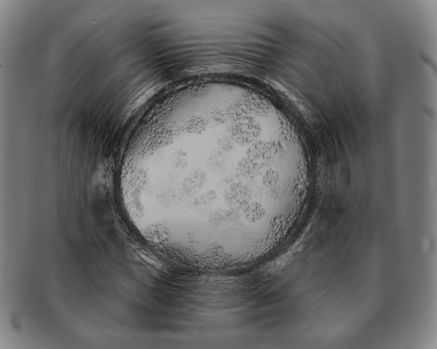 X0000091230921200708301512
