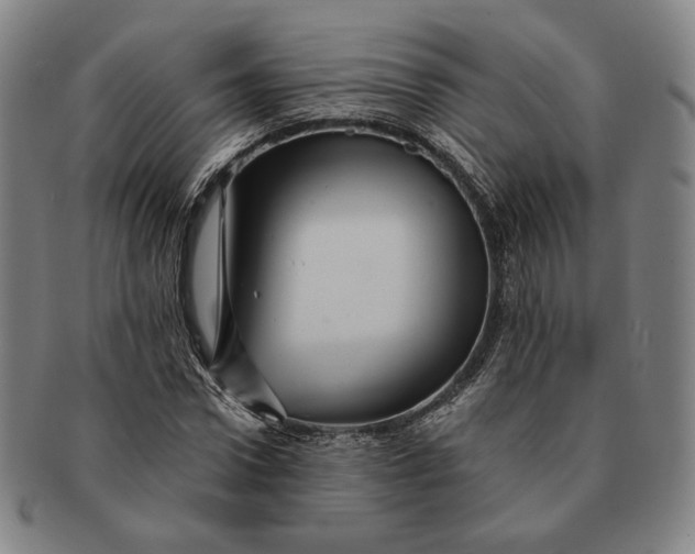 X0000091230922200708301512