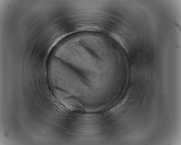 X0000091230923200708301512