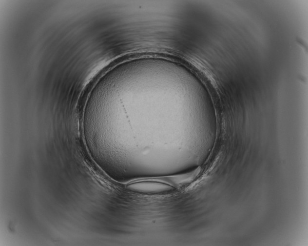 X0000091230925200708301512