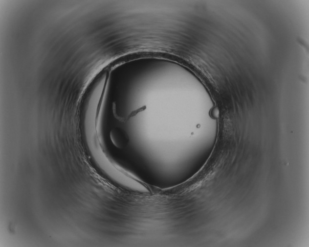 X0000091230926200708301512
