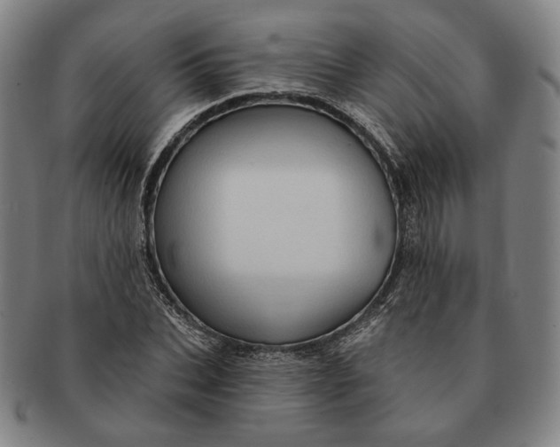 X0000091230927200708301512