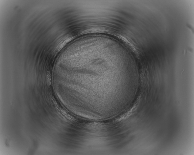 X0000091230929200708301512
