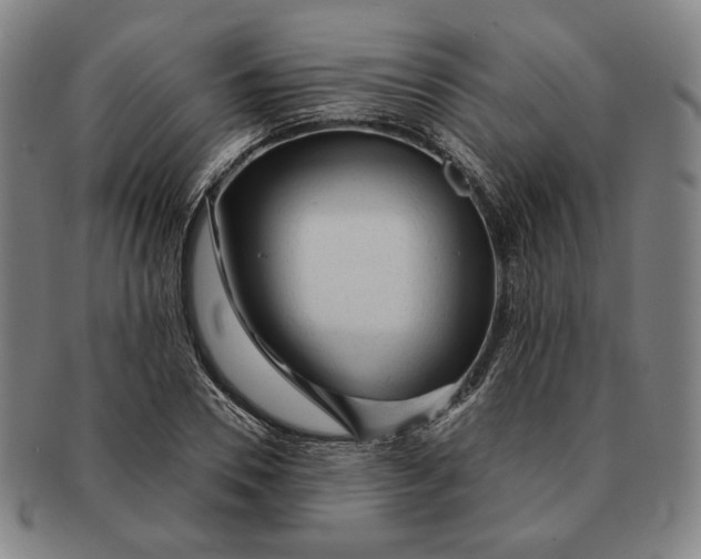 X0000091230930200708301512