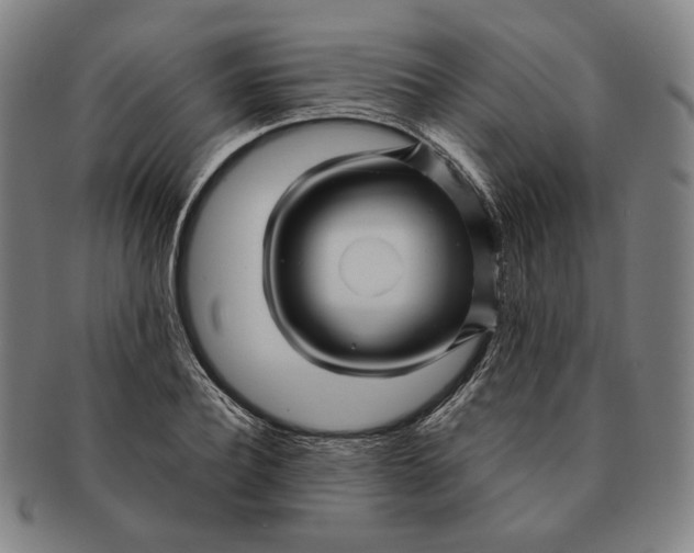 X0000091230932200708301512