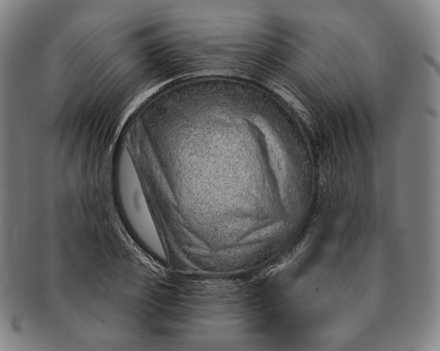 X0000091230933200708301512