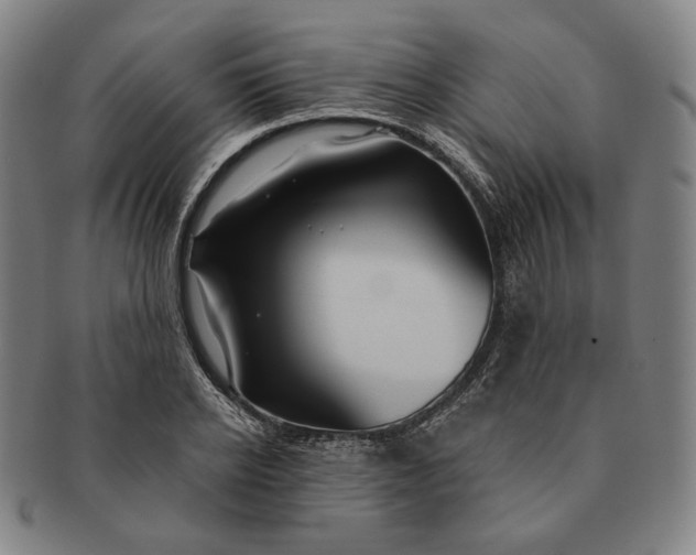 X0000091230934200708301512