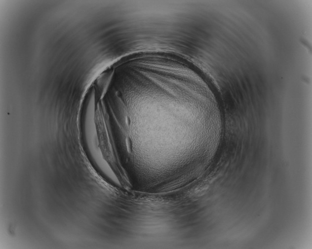 X0000091230935200708301513