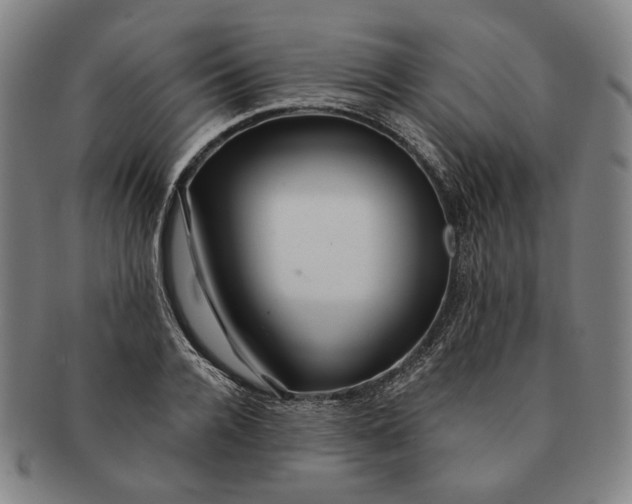X0000091230936200708301513