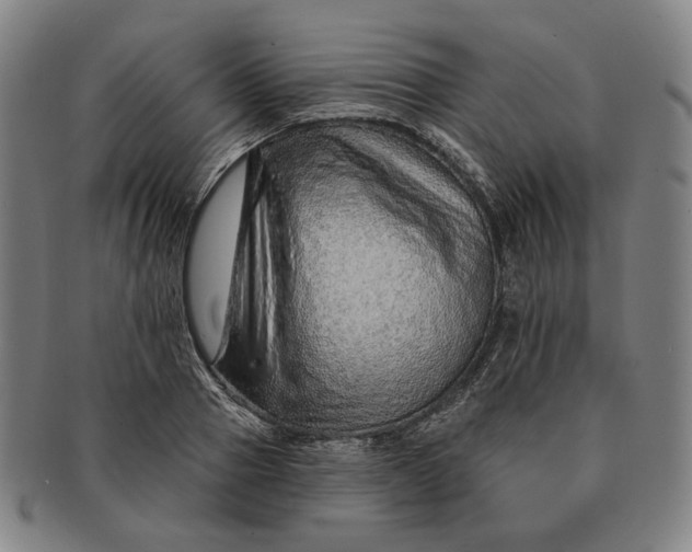 X0000091230937200708301513