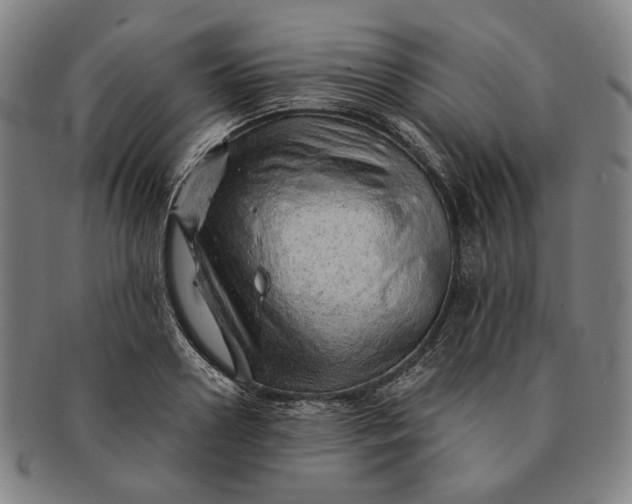 X0000091230938200708301513