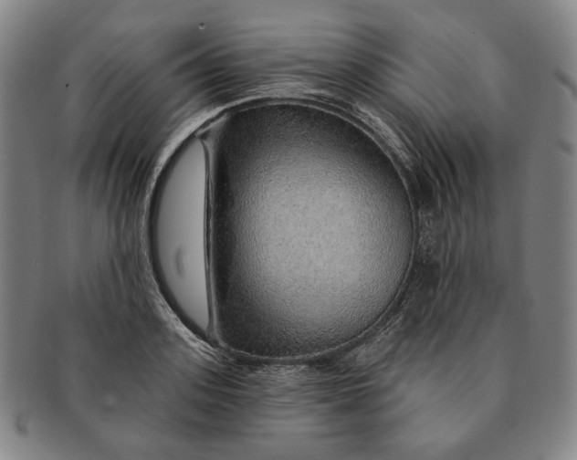 X0000091230939200708301513